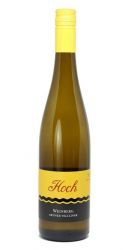 Hoch - Grüner Veltliner Weinberg 2021